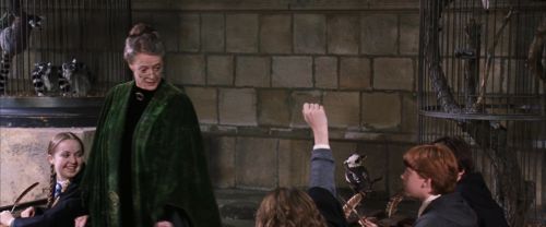 CS-Potterish_03356.jpg