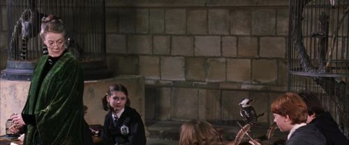 CS-Potterish_03357.jpg