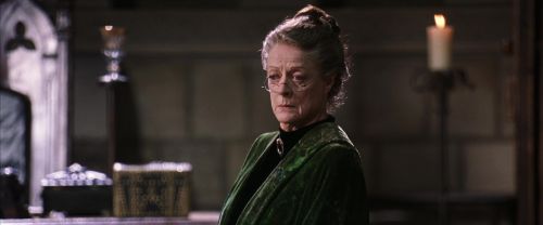 CS-Potterish_03365.jpg