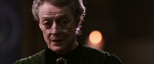 CS-Potterish_03391.jpg