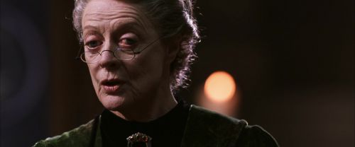 CS-Potterish_03392.jpg