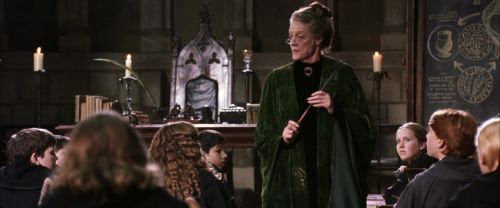 CS-Potterish_03410.jpg