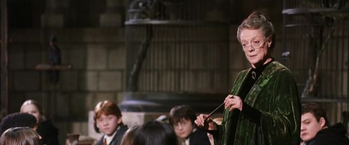 CS-Potterish_03421.jpg