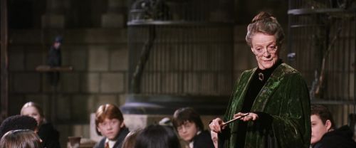 CS-Potterish_03423.jpg