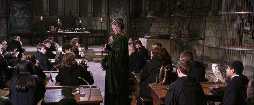 CS-Potterish_03430.jpg