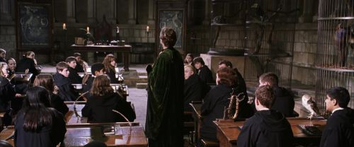 CS-Potterish_03433.jpg