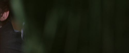 CS-Potterish_03439.jpg