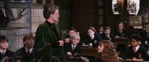 CS-Potterish_03446.jpg