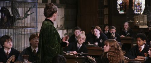 CS-Potterish_03447.jpg
