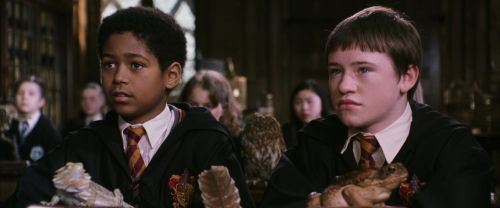 CS-Potterish_03452.jpg