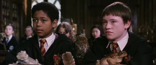 CS-Potterish_03453.jpg