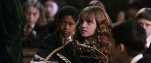 CS-Potterish_03456.jpg