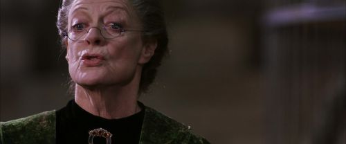 CS-Potterish_03463.jpg