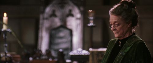 CS-Potterish_03476.jpg