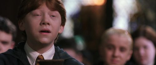 CS-Potterish_03511.jpg