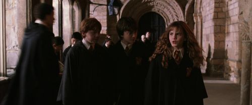 CS-Potterish_03520.jpg