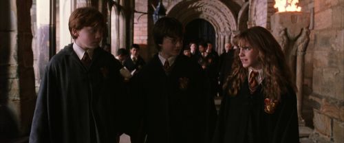 CS-Potterish_03522.jpg