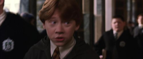 CS-Potterish_03537.jpg