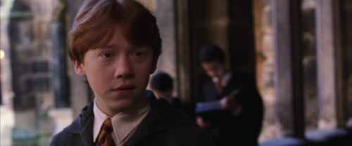 CS-Potterish_03553.jpg