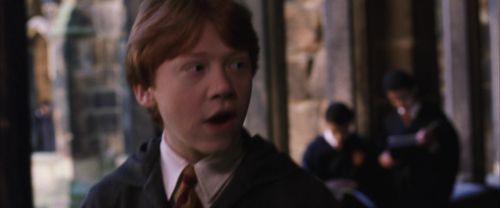 CS-Potterish_03554.jpg