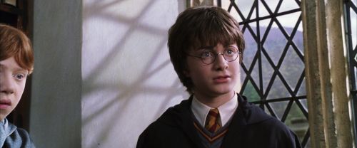 CS-Potterish_03610.jpg