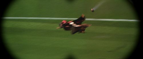 CS-Potterish_03753.jpg