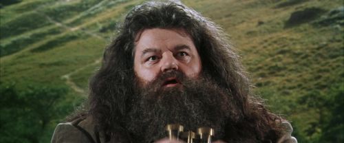 CS-Potterish_03754.jpg