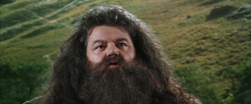 CS-Potterish_03755.jpg