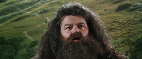 CS-Potterish_03756.jpg