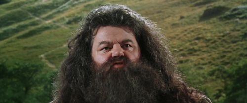 CS-Potterish_03757.jpg