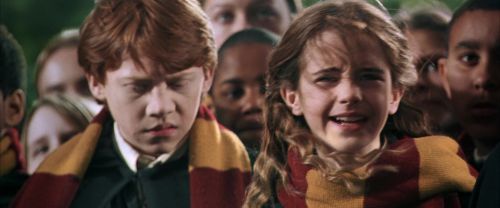 CS-Potterish_03768.jpg