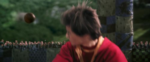 CS-Potterish_03803.jpg