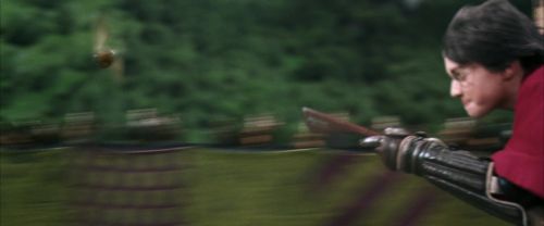 CS-Potterish_03926.jpg