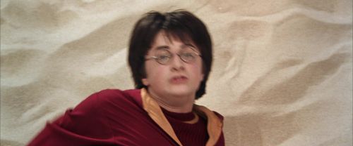 CS-Potterish_03953.jpg