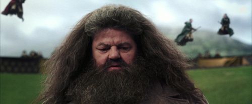 CS-Potterish_03985.jpg