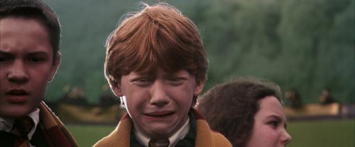 CS-Potterish_04001.jpg