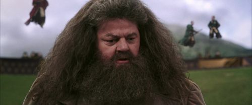 Click to view full size image
==============
CS-Potterish_04015.jpg CS-Potterish_04015.jpg
