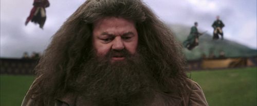 CS-Potterish_04016.jpg