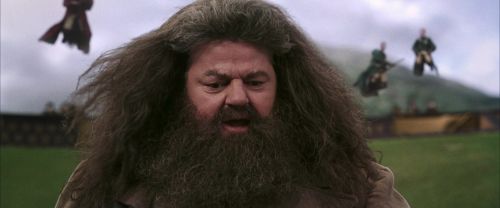CS-Potterish_04017.jpg