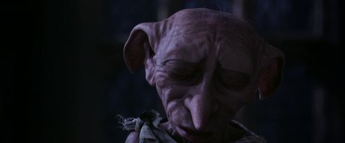 CS-Potterish_04123.jpg