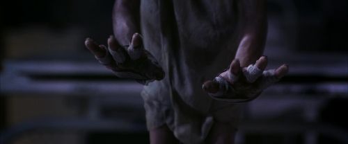 CS-Potterish_04129.jpg