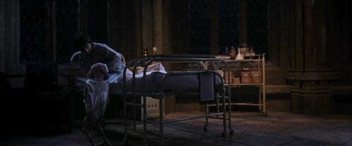 CS-Potterish_04143.jpg