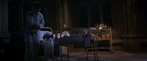 CS-Potterish_04150.jpg