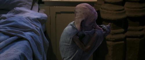 CS-Potterish_04181.jpg
