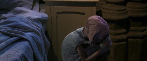 CS-Potterish_04182.jpg