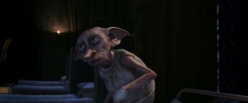 CS-Potterish_04205.jpg