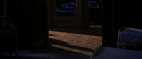CS-Potterish_04256.jpg