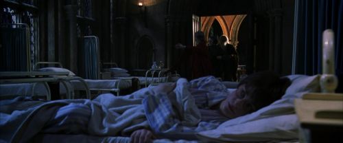 CS-Potterish_04264.jpg