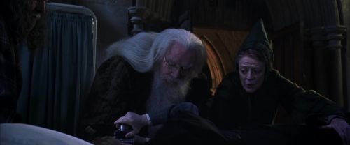 CS-Potterish_04276.jpg