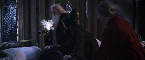 CS-Potterish_04295.jpg